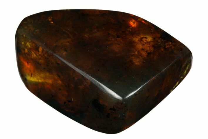 Polished Chiapas Amber ( grams) - Mexico #180501